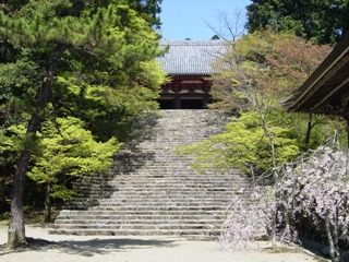 春の神護寺境内