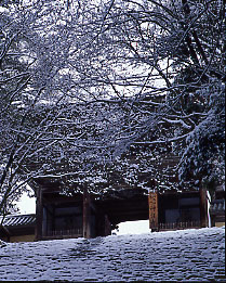 冬の神護寺境内