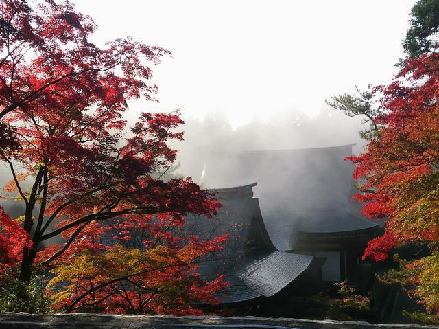 高雄山神護寺